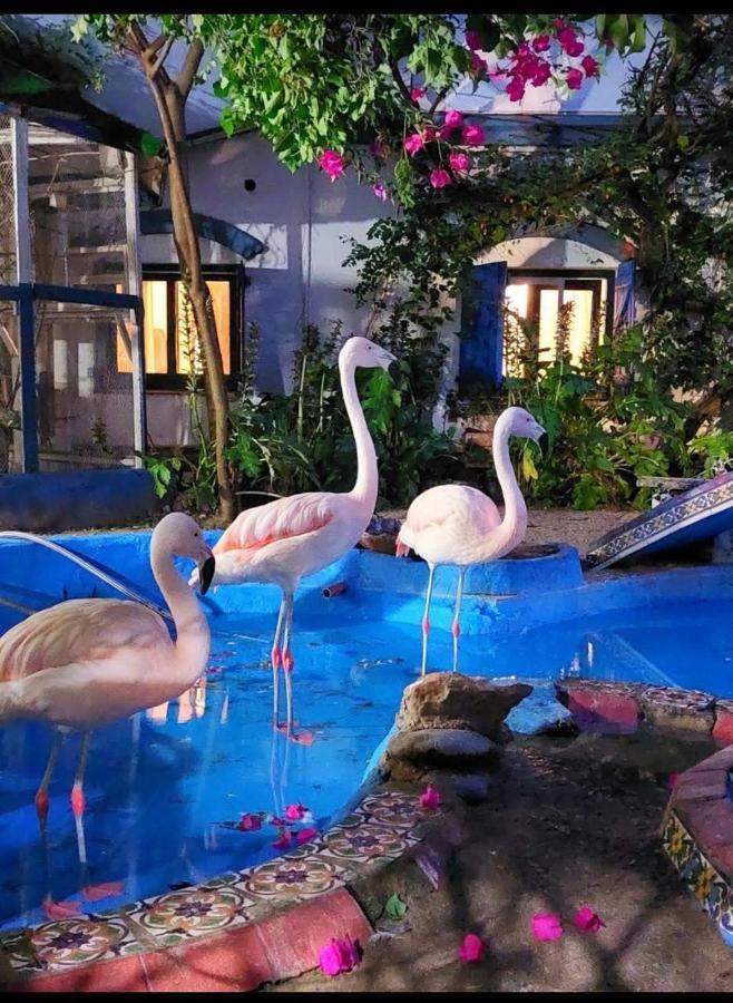 La Posada Del Sol 비야 헤셀 외부 사진